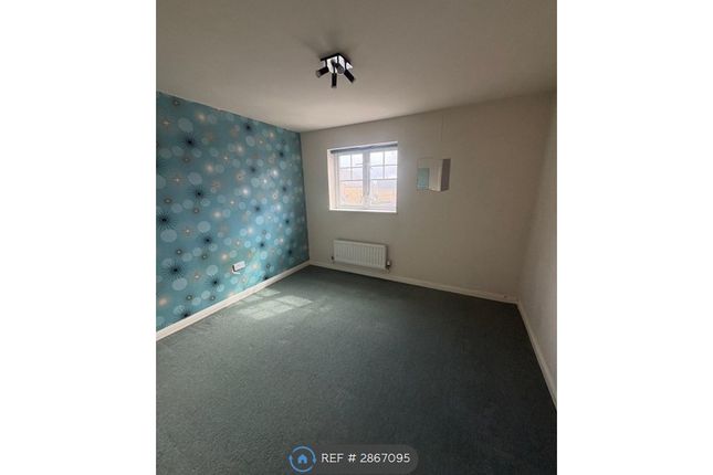 Jacana Way, Bradford photo 3