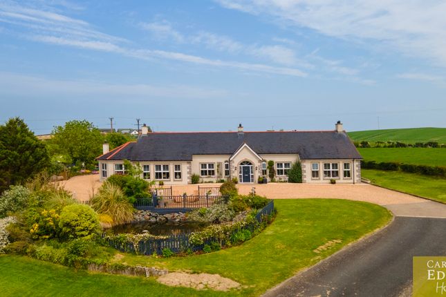 Grace Cottage, 15 Carrowdore Road, Newtownards photo 3
