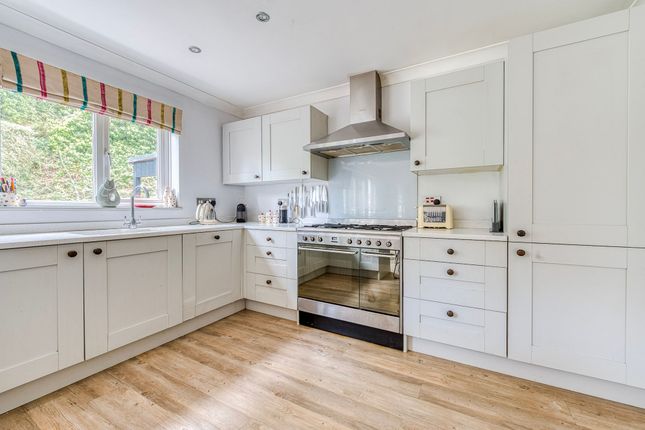 10 Olive Avenue, Norwich photo 3