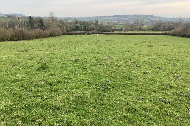 Land for sale in Beaminster