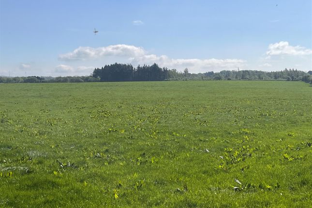 Land at Llansantffraed, Llanon photo 5
