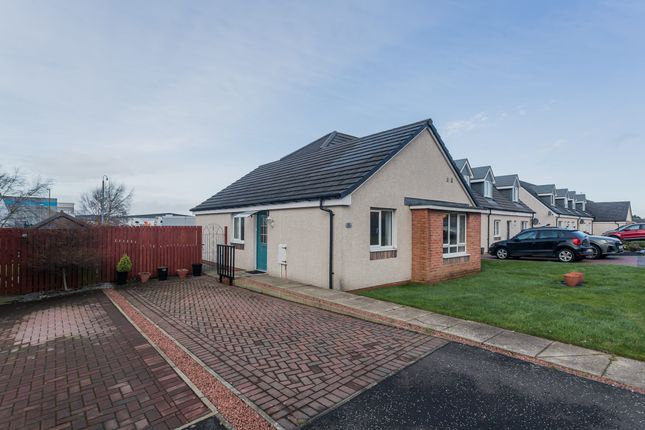 Thumbnail Bungalow for sale in 8 Rootes Place, Paisley
