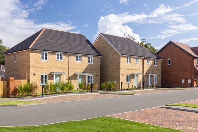 Knightwood Chase, Fordingbridge