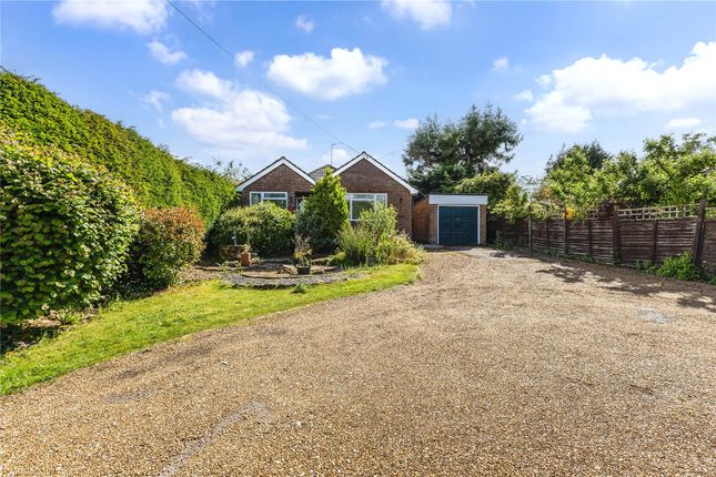 Jacamar,, Petersfield Road, Ropley photo 2