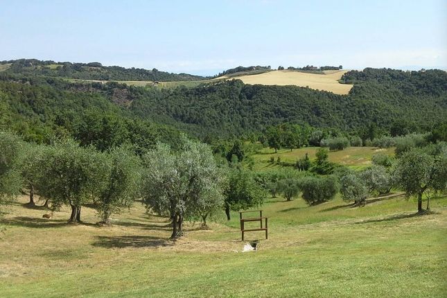 Country house for sale in Via Roma Chianni, Chianni, Toscana