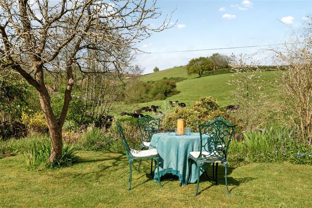 Meads,, Dinneford Street, Thorverton photo 3