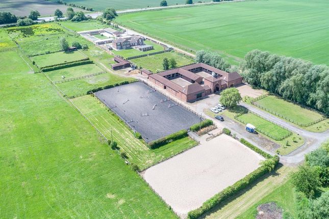 Thumbnail Equestrian property for sale in Jaques Bank, Thorne, Doncaster