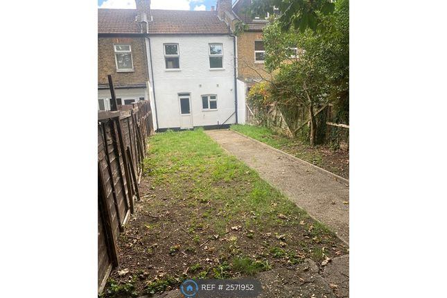 Back Garden