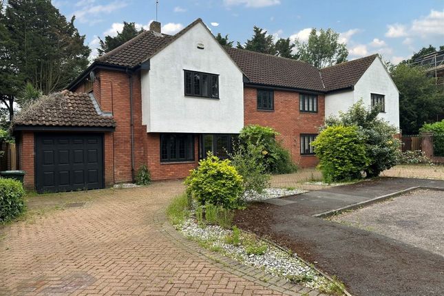 Thumbnail Property for sale in 17 Maybush Road, Hornchurch, Essex