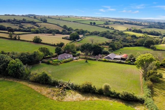 Waun Farm, Whitland photo 4