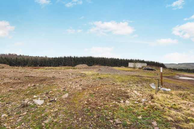 Land for sale in Abernethy, Perth