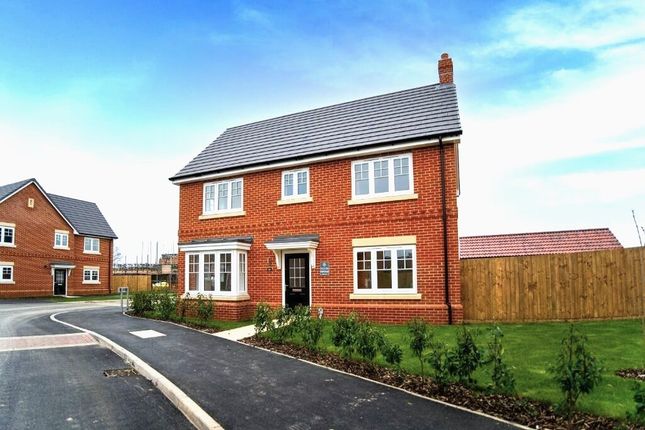 Thumbnail Detached house for sale in School Road, Elmstead, Colchester