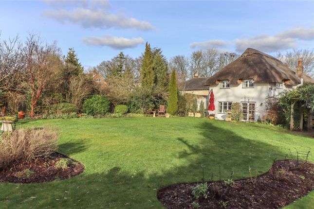 Haydown Lodge,, East Cholderton, Hampshire photo 3