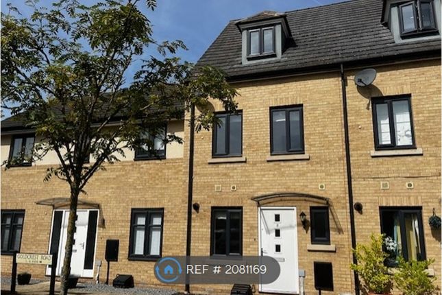 Thumbnail Terraced house to rent in Goldcrest Road, St. Ives