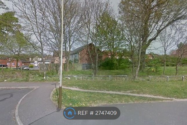 Danbury Place, Leicester photo 2