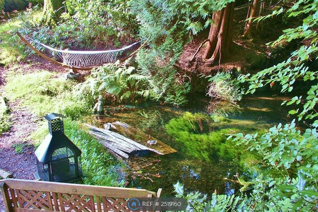 Hammock Next To Waterfalls Pool