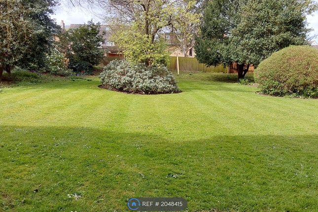 Outram Road, Croydon photo 3