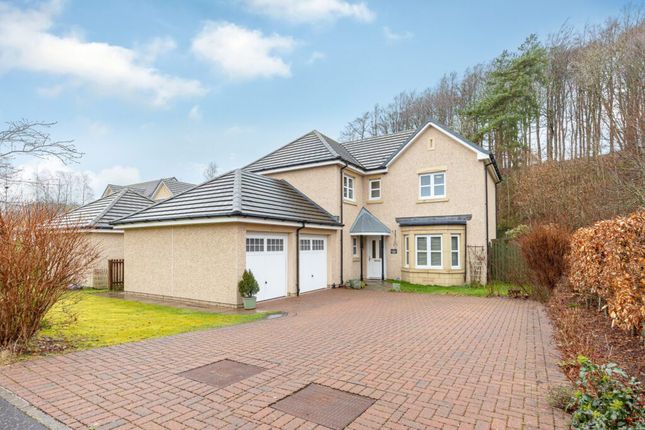 Thumbnail Detached house for sale in Bluebell Wood, Doune
