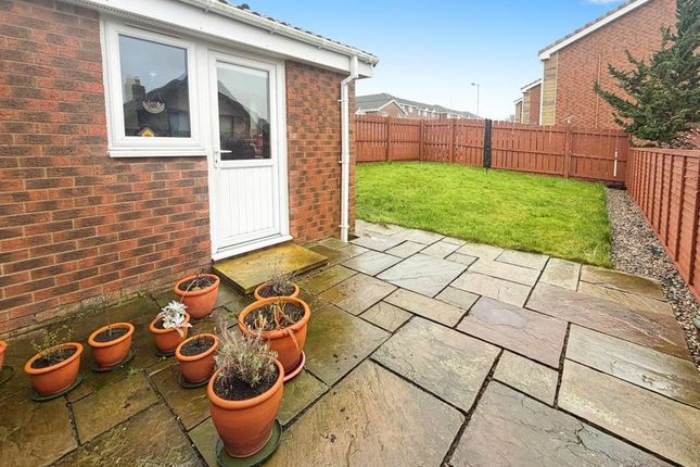 14, Clive Gardens, Alnwick photo 2