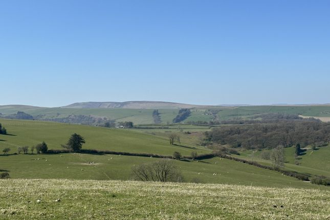 Highly Desirable Stock Farm In The Teme Valley