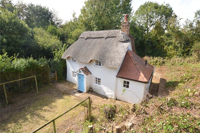 Homes For Sale In Lymore Lane Milford On Sea Lymington So41