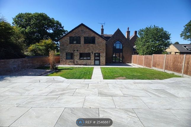 Back Garden