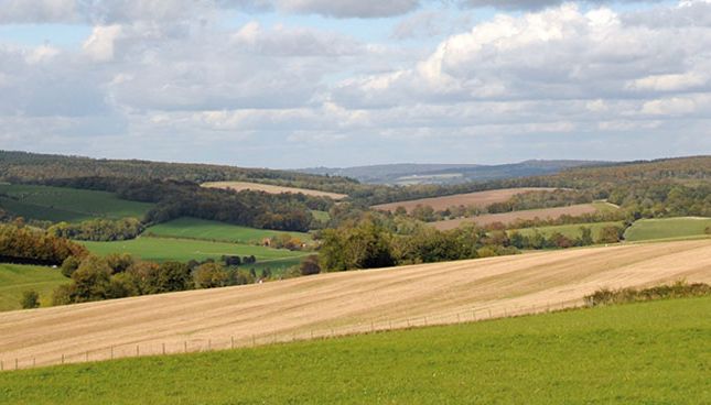 Country house for sale in Country House, Pulborough