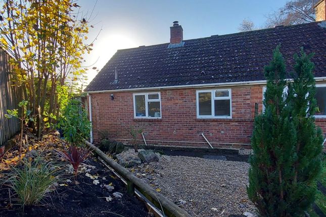 Thumbnail Semi-detached bungalow to rent in Green Close, Sixpenny Handley, Salisbury