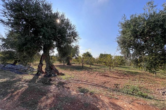 Land for sale in Conversano, Puglia, 70014, Italy