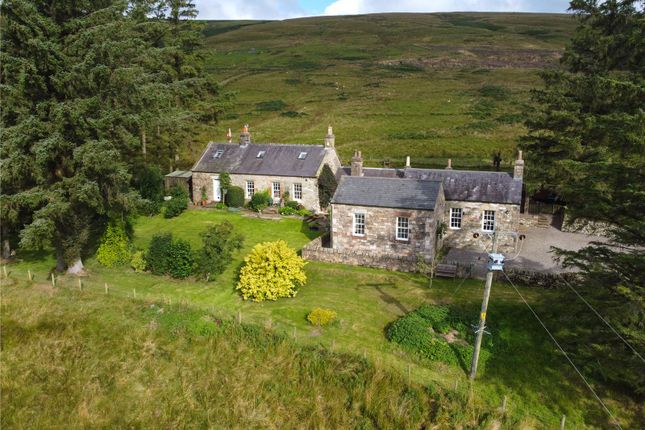 Thumbnail Detached house for sale in Saughtree Station, Newcastleton, Roxburghshire