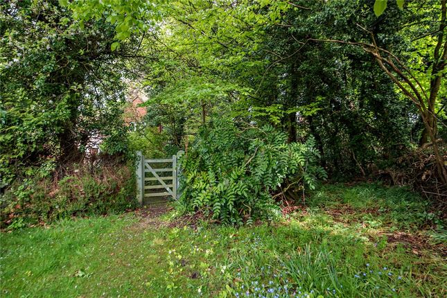 Cottage for sale in Chapel Lane, Hermitage, Thatcham, Berkshire