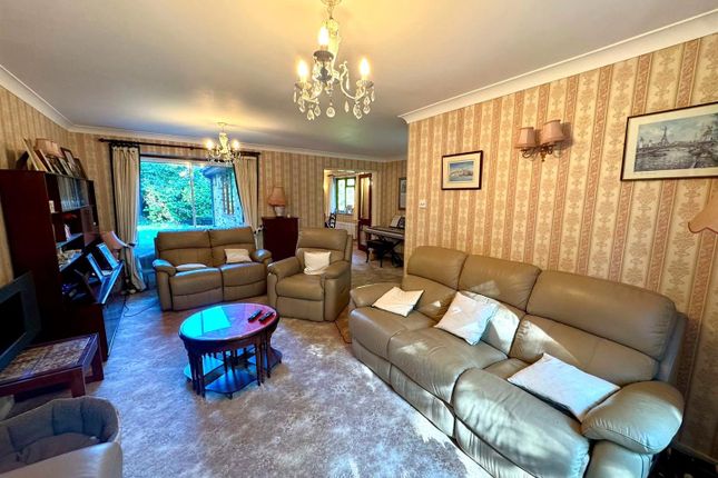 Living / Dining Room