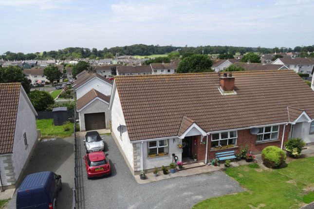 14, Joe Tomelty Drive, Newtownards photo 2