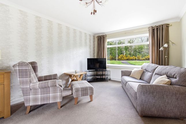17 Brodick Place, Falkirk photo 3