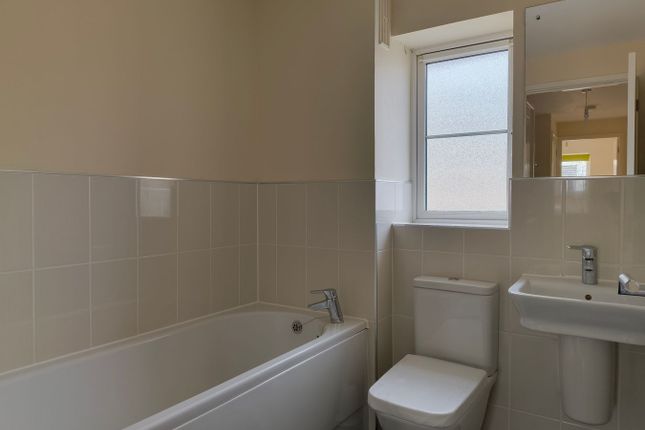 16, Lilliana Way, Bridgwater photo 4
