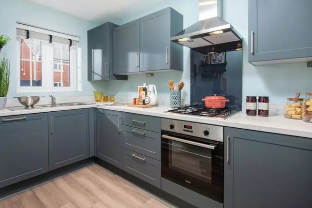 Plot 532, Oxendon, Wood Avens Way, Kettering photo 3