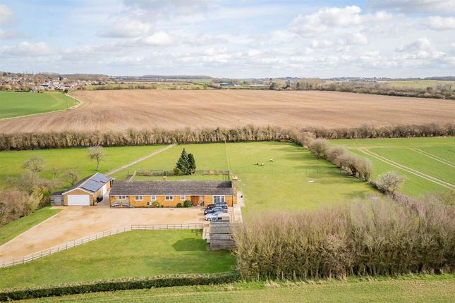 Thumbnail Bungalow for sale in Old Mead Lane, Henham, Bishop's Stortford