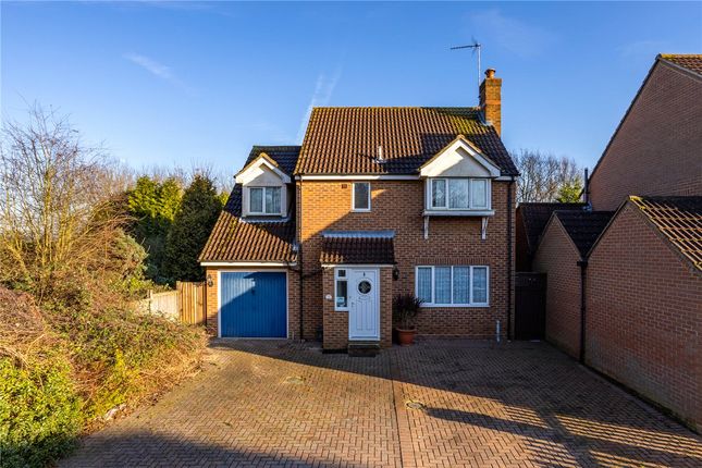 Thumbnail Detached house to rent in Pantile Close, Witham, Braintree, Essex