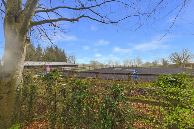 Bumble Farm, Radnage photo 2