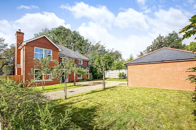 Thumbnail Country house for sale in Romsey Road, Awbridge, Romsey, Hampshire