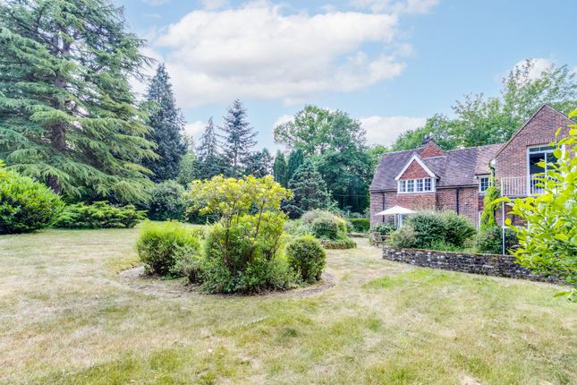 Orchard End,, Green Lane, Farnham photo 3