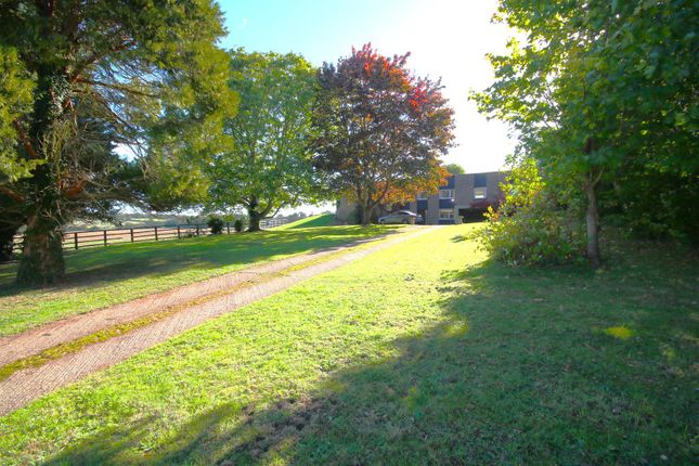 Rattington Street, Chartham photo 4