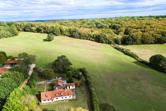 Rent Cottage, Theydon Mount, Epping photo 4