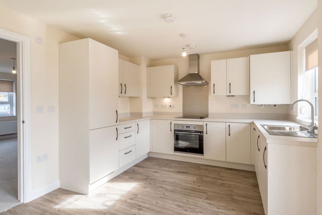 31, Lavender Way, Cramlington photo 2