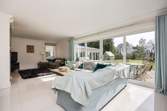 35, Compton Way, Farnham photo 4