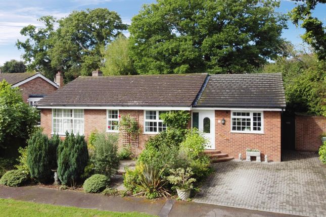 Detached bungalow for sale in North Ridge, Northiam, Rye