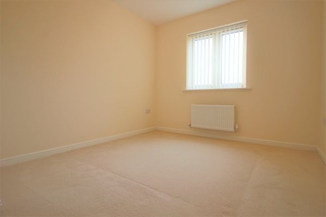 Halter Way, Picket Twenty Andover Hampshire photo 4