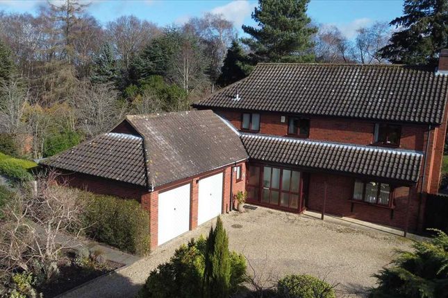 Detached house for sale in Birch Grove, Martlesham Heath, Ipswich IP5