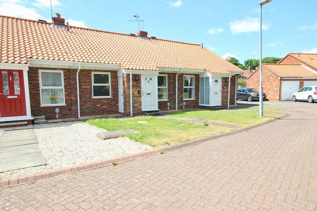 Thumbnail Bungalow to rent in Minster Avenue, Beverley