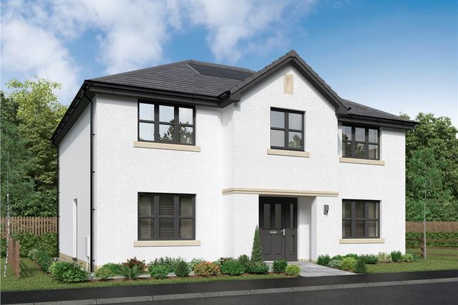 Thumbnail Detached house for sale in "Bridgeford Detached" at Muirhouses Crescent, Bo'ness